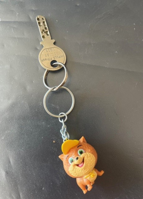Schlüssel gefunden (1/1)